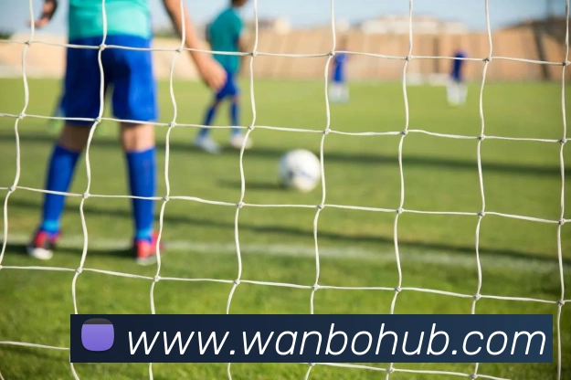 多媒体互动体验